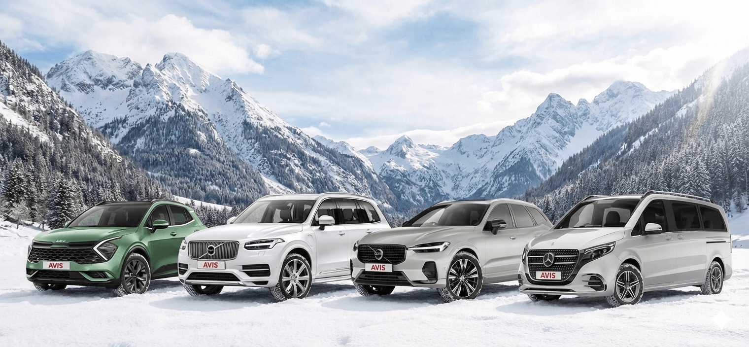 AVIS_zima-4x4.png